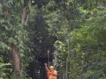 Tn DSC 4296